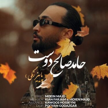 دانلود آهنگ جدید حامد صالح دوست پاییز رنگی
